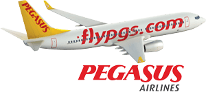 Pegasus Airline